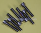 鎢合金螺釘與鈦合金螺釘?shù)膶Ρ? title=